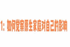 赛维原生家庭系列（13集视频）