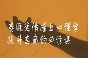 赛维《爱情撞上心理学，提升恋商的必修课》（13集视频）