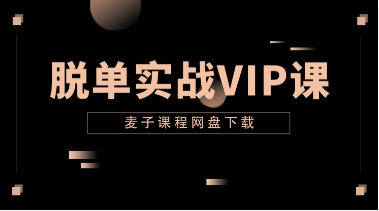 麦子《脱单实战VIP课》