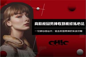 Chic原醉《高阶校园男神收割机修炼心法》