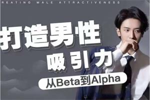 凯文《打造男性吸引力：从Beta到Alpha》