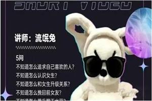 一只流氓兔《恋爱指导课》17节