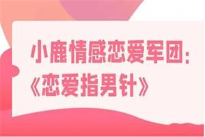 小鹿情感【恋爱军团】恋爱指男针
